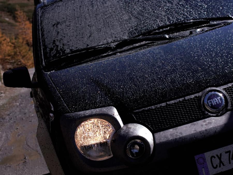  Fiat Panda Cross 2005 года  (фото 16 из 48)
